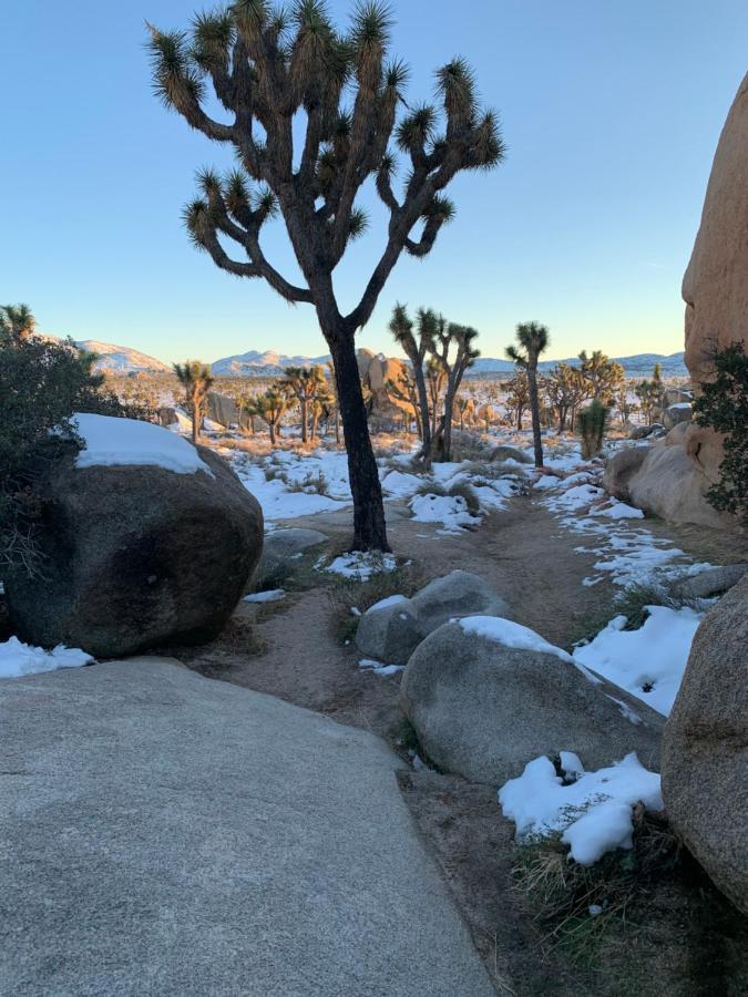 Popular Homestead! Location, Stargaze, Views! Joshua Tree Bagian luar foto