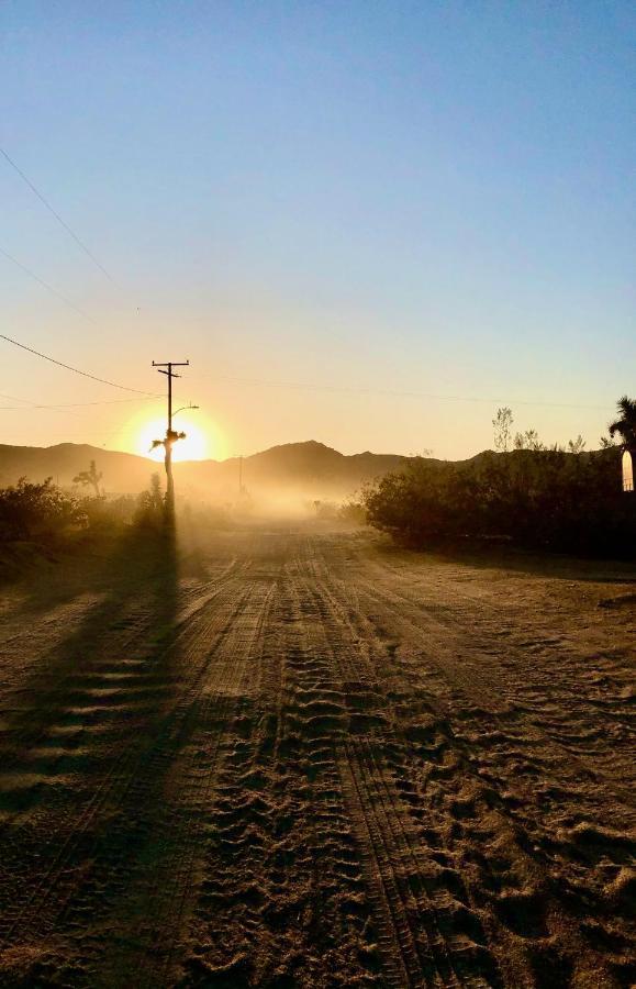 Popular Homestead! Location, Stargaze, Views! Joshua Tree Bagian luar foto