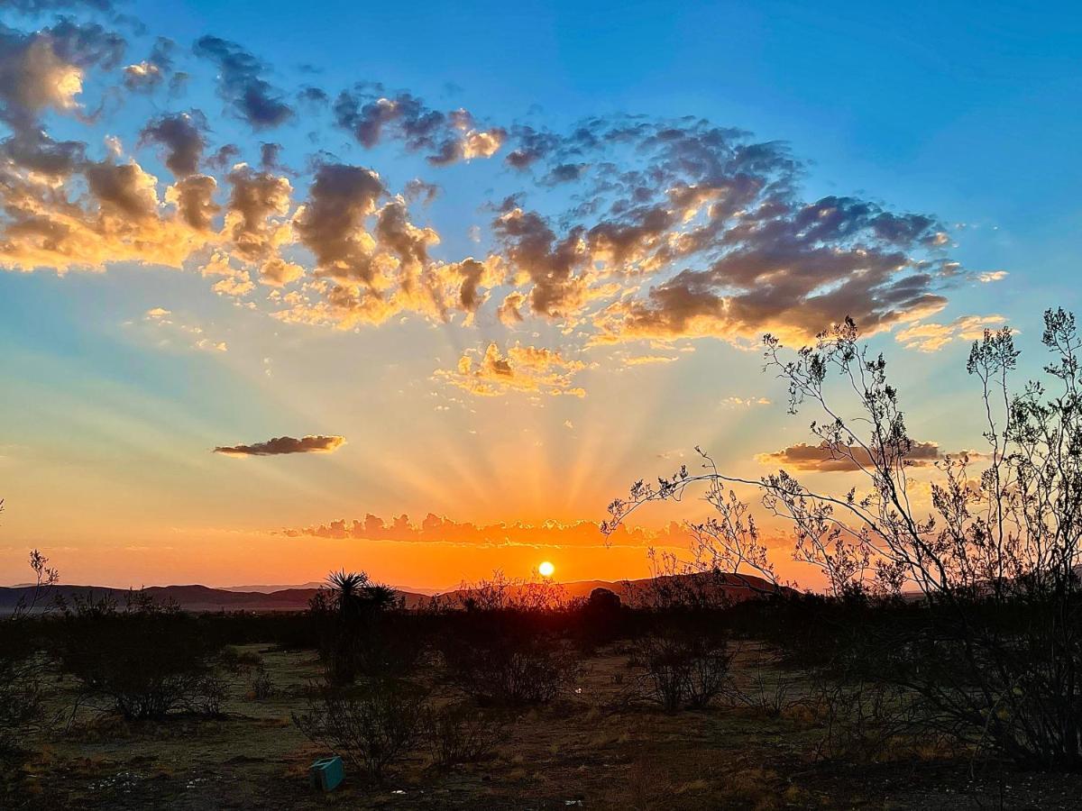 Popular Homestead! Location, Stargaze, Views! Joshua Tree Bagian luar foto