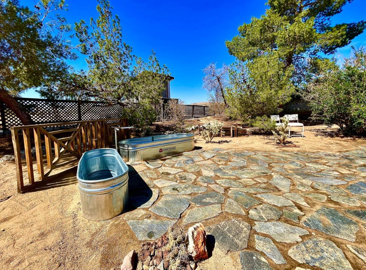 Popular Homestead! Location, Stargaze, Views! Joshua Tree Bagian luar foto