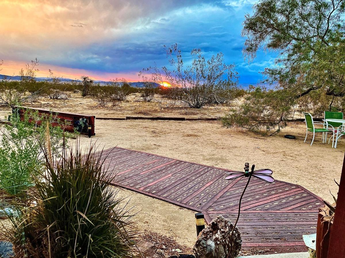 Popular Homestead! Location, Stargaze, Views! Joshua Tree Bagian luar foto